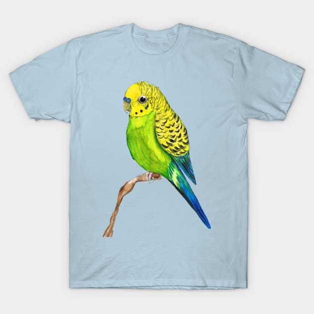 Parakeet t shirt cheap